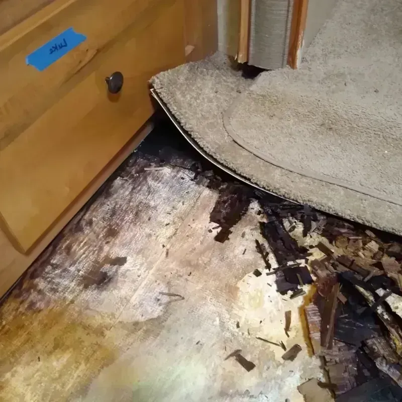 Wood Floor Water Damage in Cooper County, MO